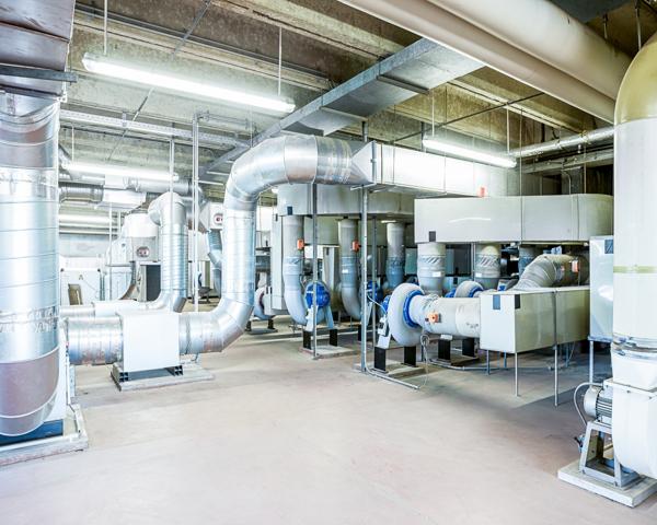 A mechanical room with numerous pipes and ductwork.